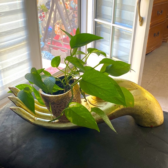 Unique prop golden wood hand. - Picture 10 of 11